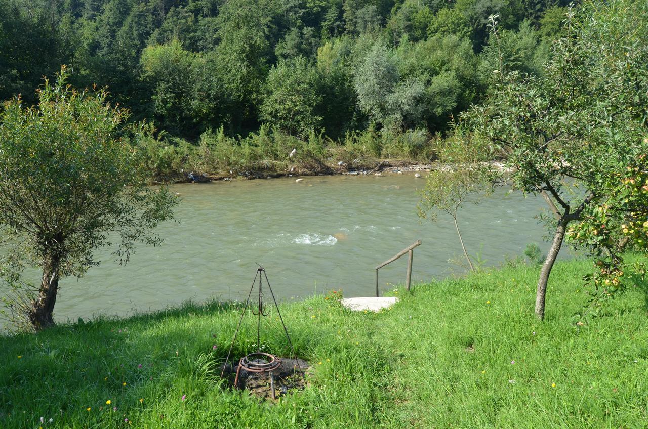 Pensiunea Irina Вама Экстерьер фото